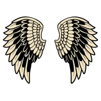 Traditional angel wings