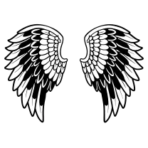 Traditional angel wings