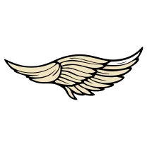 Single angel wing, fine line