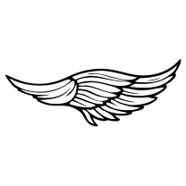 Single angel wing, fine line