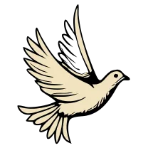 Tiny dove, fine line