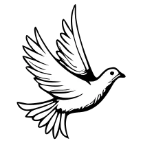 Tiny dove, fine line