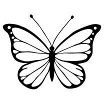 Tiny butterfly, fine line