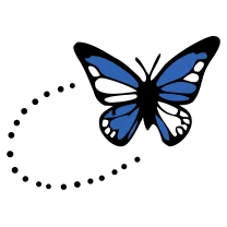 Butterfly with trail, fine line