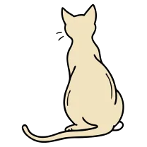Minimal sitting cat