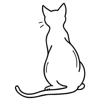 Minimal sitting cat