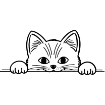 Peeking cat