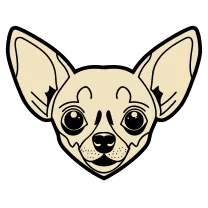 Chihuahua head