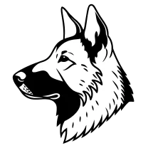 German shepherd head
