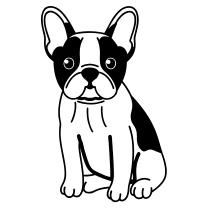 French bulldog, bold