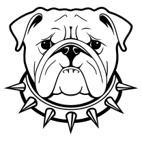 Bulldog with spiked collar