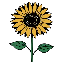 Traditional sunflower