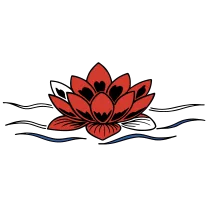 Lotus on water