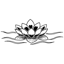 Lotus on water
