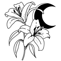 Wilted lily and moon