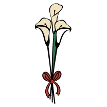 Chicano calla lilies
