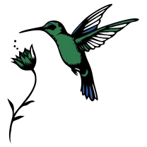 Hummingbird and flower, fine line
