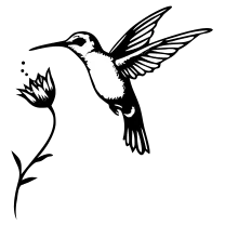 Hummingbird and flower, fine line