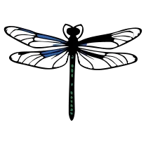 Tiny dragonfly, fine line