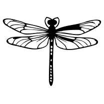 Tiny dragonfly, fine line