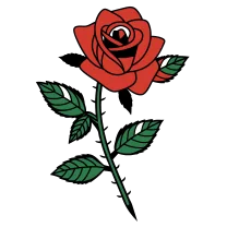Single rose with stem