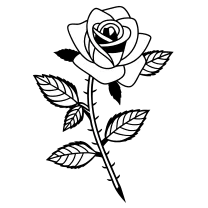 Single rose with stem