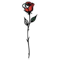 Rose bud, fine line