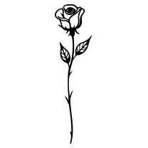 Rose bud, fine line