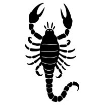 Tiny scorpion silhouette