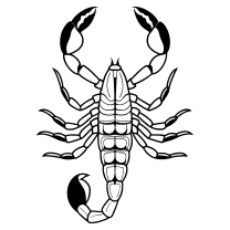 Bold blackwork scorpion