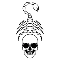 Scorpion on a skull