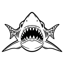 Traditional shark jaws