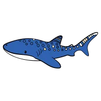 Whale shark