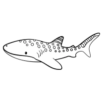Whale shark