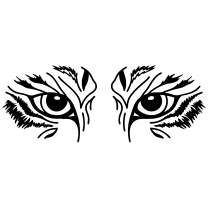 Tiger eyes