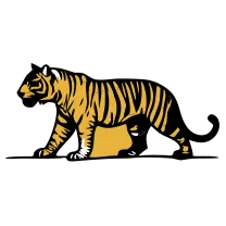Tiny tiger